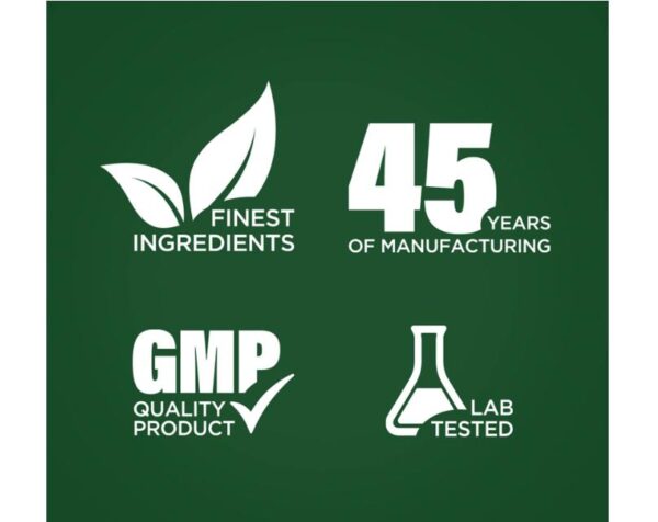 PANAX GINSENG GINKGO 5000MG - Image 7